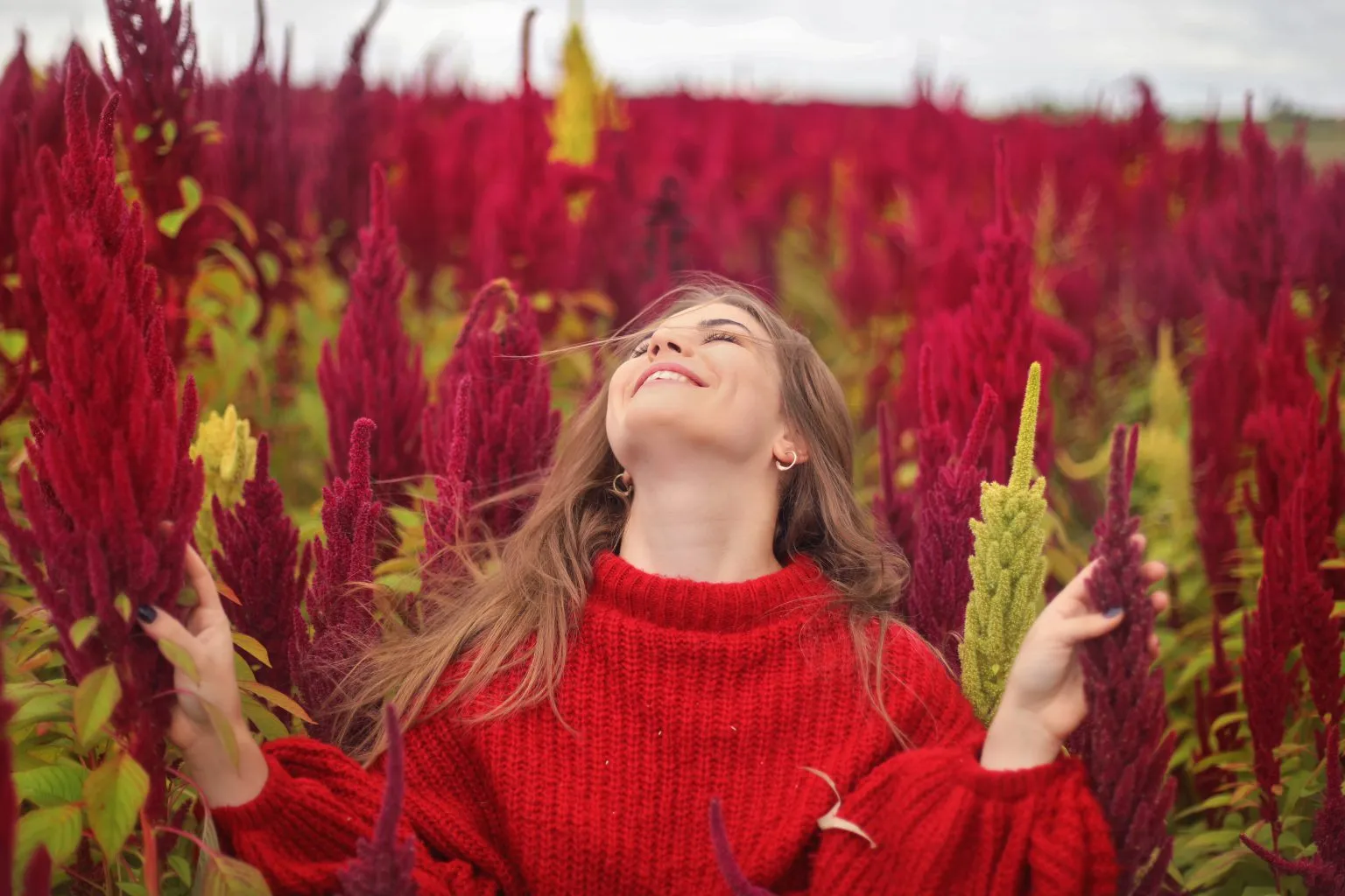 Liofilizowane owoce w misce