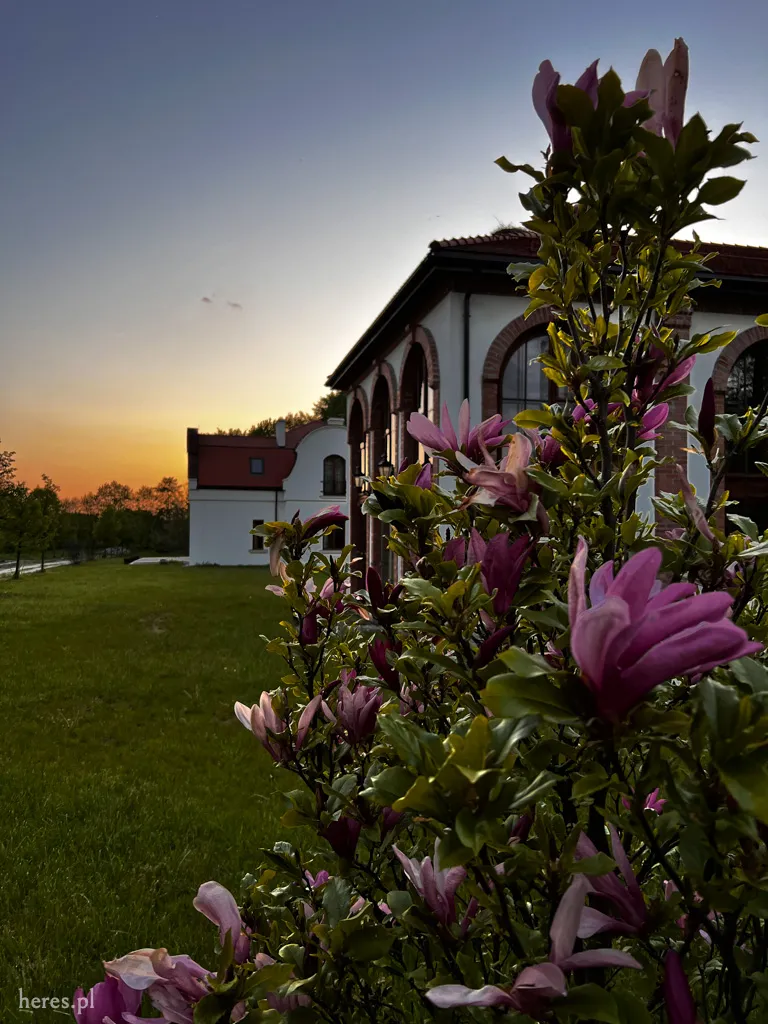 Ręce zbierające owoce